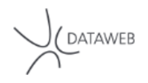 zw-icon-dataweb